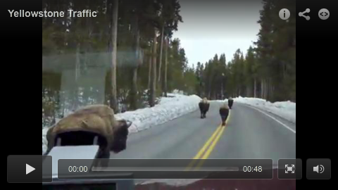 Smart Player Example