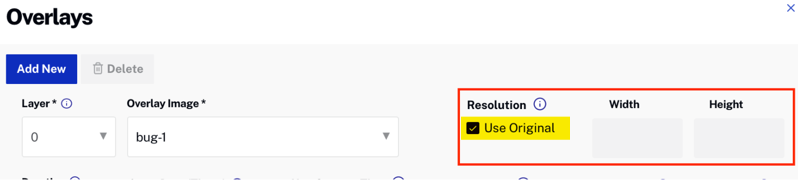 Use Original Image Size