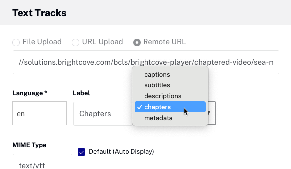 studio text track settings