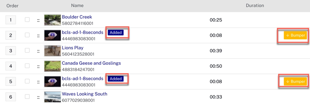 Bumper in Program List