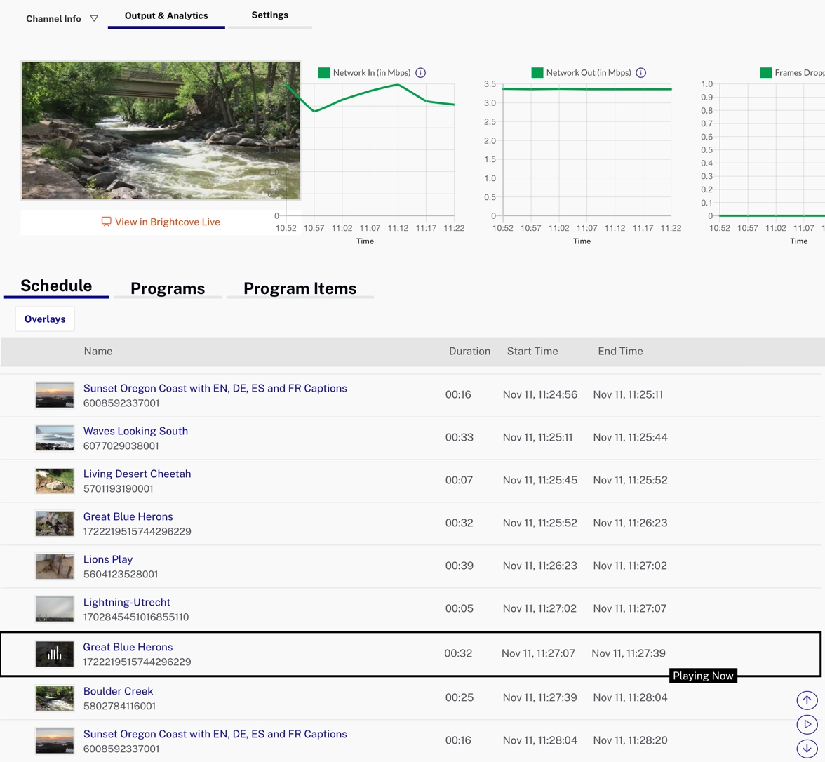 ループチャンネル