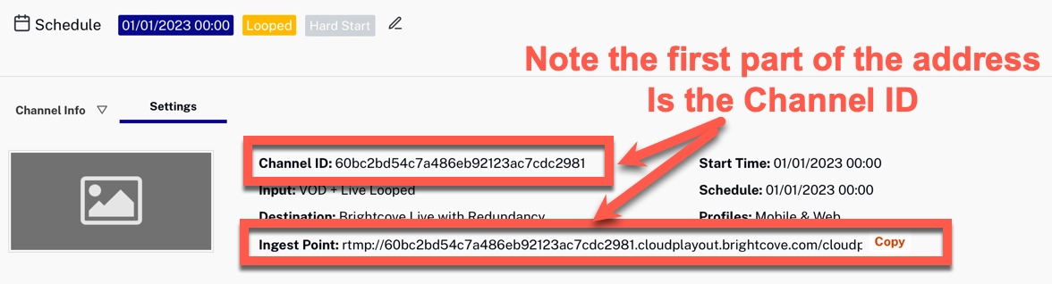 インジェストポイント