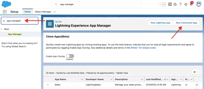 New Connected App Button