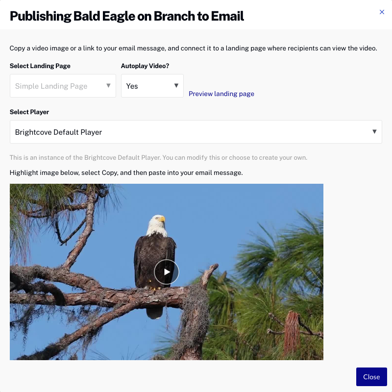 プレーヤーの選択