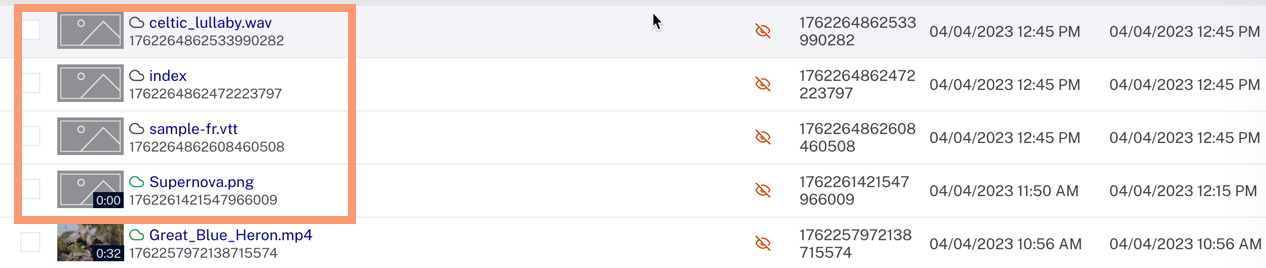 Non-Video Items Ingested